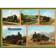 Museumslokomotive  58 261 (G12), 18 201, 741230 (T12), 93 230(T14), 38 205 (XII H2)