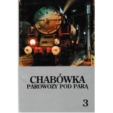 Chabrówka parowozy pod para 3