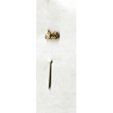 Odznak ČD lokomotiva 310.0