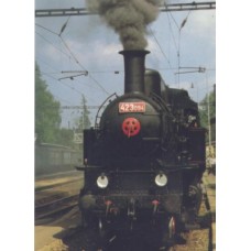 Parní lokomotiva 423.094 v žst. Stránčice