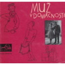 Muž v domácnosti