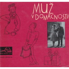 Muž v domácnosti