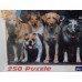 Puzzle - 250 dílků