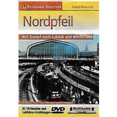 Nordpfeil
